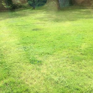 Meet your Posher, Louise